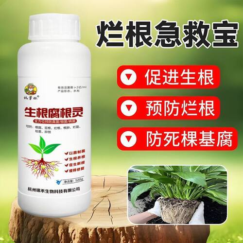 生根灵强力生根壮苗剂果树蔬菜花卉强效生根解决黑根烂根根腐病