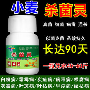 小麦专用药小麦病全治烂根死苗黑穗病根腐病赤霉病白粉专用杀菌剂