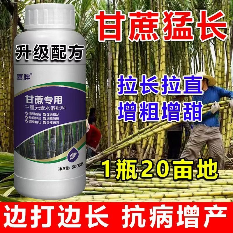 甘蔗专用叶面肥拉长拉直膨大素增粗增甜甘蔗拉直灵抗倒伏肥料