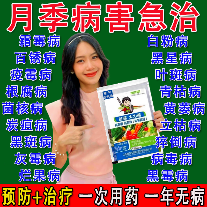 月季花病害专用月季枯枝病白粉病新芽干枯萎焉黄叶不生长抗病杀菌图片