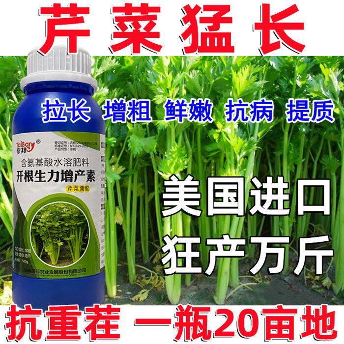 芹菜猛长芹菜专用肥料增粗增白拉长灵嫩绿西芹通用芹菜速长叶面肥