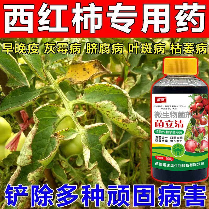 番茄专用杀菌剂真菌细菌病毒病早晚疫病霜霉病白粉病灰霉病锈病