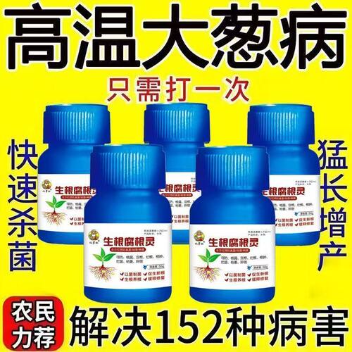 急救大葱腐烂病烂根沤根高温引起葱白软腐病黄叶死苗微生物菌肥