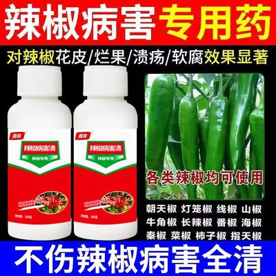 治辣椒病害辣椒专用药炭疽病溃疡病软腐病烂果花皮病防烂特效农药