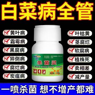 大白菜专用微生物菌剂白菜病菌清烂芯软腐干烧心叶面肥白菜病全治