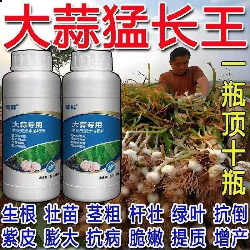 大蒜膨大剂膨大蒜头专用肥增产专用大蒜膨大叶面肥膨大素正品保证