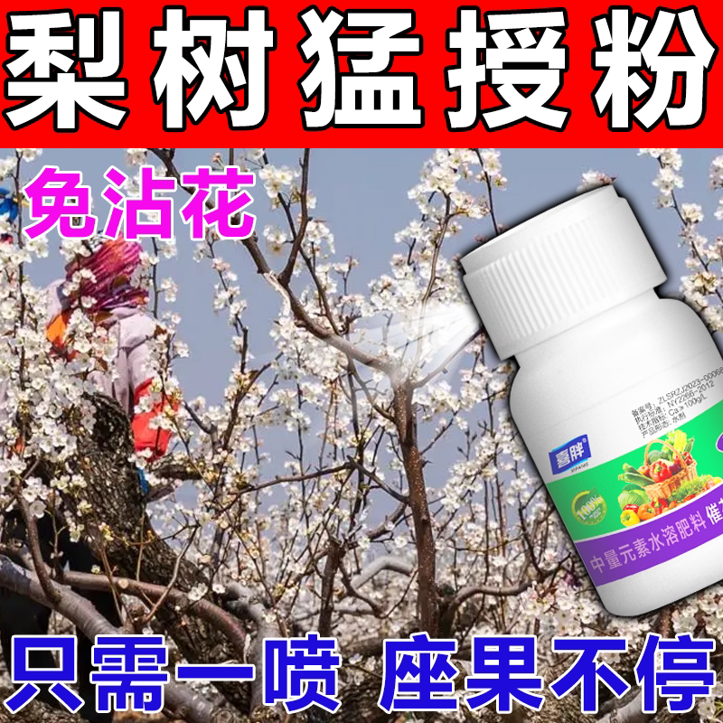 梨树授粉座果灵梨树落花落果药保花保果增产药花芽分化素催花保果