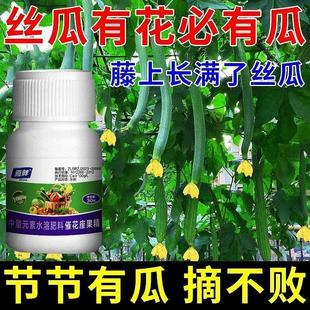 丝瓜授粉座果精座果灵果树授粉药瓜果蔬菜保花保果授粉专用叶面肥