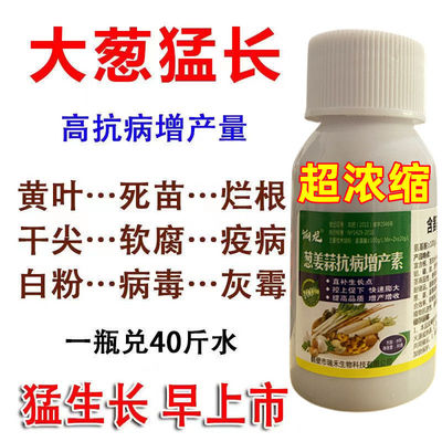 大葱猛长大葱专用肥防干尖软腐病疫病病毒病白粉病锈病大葱病全治