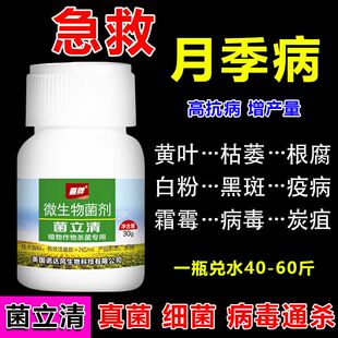 月季杀菌剂真菌细菌病毒病霜霉病白粉病炭疽病叶枯病瓜果蔬菜花卉