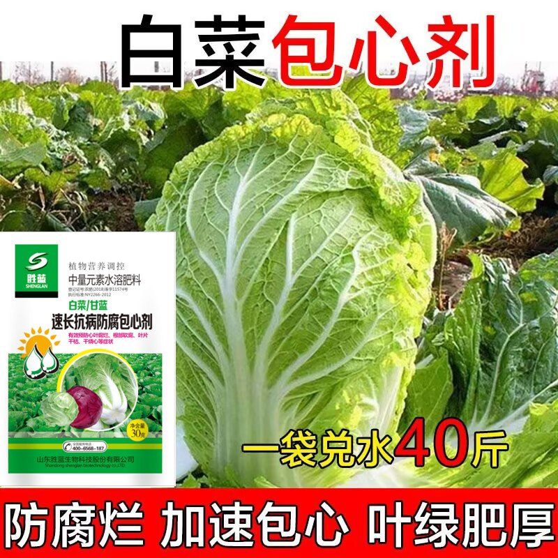 白菜防腐包心剂白菜猛长大白菜烧心烂根黄叶腐烂软腐病白菜病全治