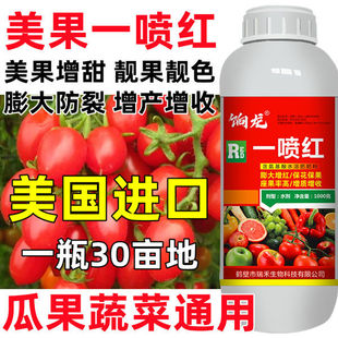 一喷红水果催红上色剂柑橘苹果番茄草莓辣椒膨大靓果增甜剂叶面肥