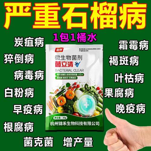 石榴病全管石榴专用杀菌剂干腐病炭疽病褐斑病煤污病黑霉病干枯病