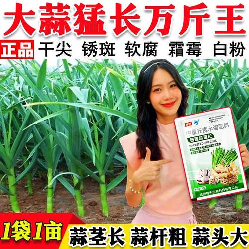 大蒜猛长大蒜专用肥预防黄叶干尖软腐死苗烂根大蒜抗病增产叶面肥