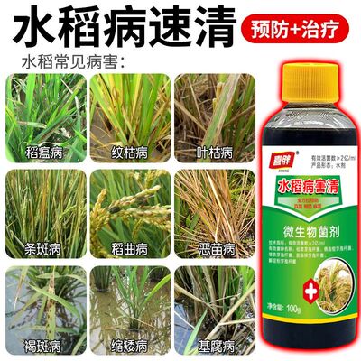 水稻病全治水稻杀菌剂稻瘟病纹枯病叶枯病稻曲病褐条病水稻病害药
