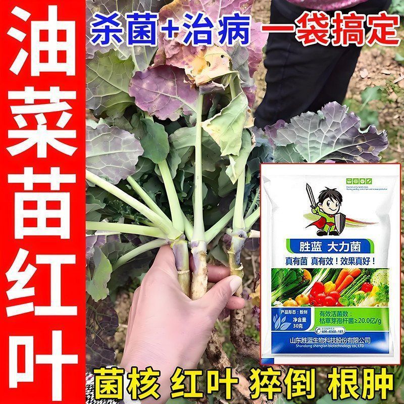 油菜专用药油菜病全治烂根黄叶菌核病软腐病霜霉灰霉微生物菌剂