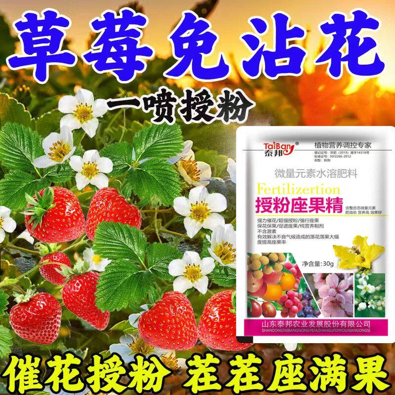 草莓授粉专用座果精草莓药强座果保花保果防裂防落增产膨大专用肥