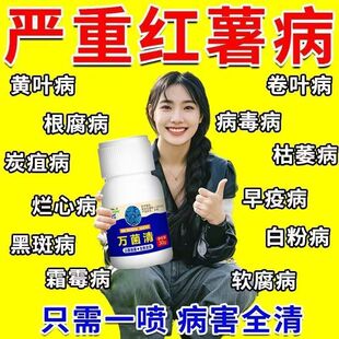 红薯病害专用红薯黄叶卷叶软腐根腐枯萎疫病红薯病全清杀菌剂肥料