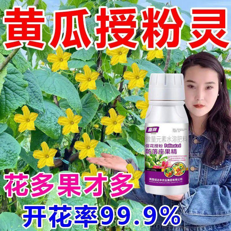 黄瓜坐瓜灵授粉坐果精保花坐果防落果无需沾花点花授粉喷雾叶面肥