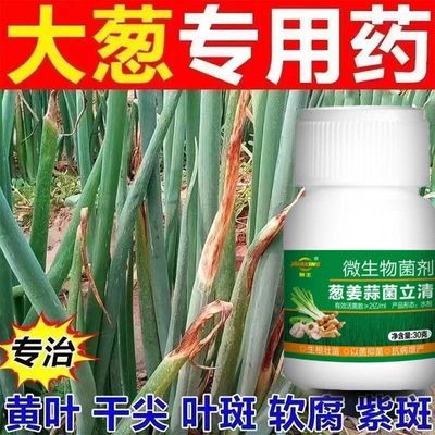 葱姜蒜菌净干尖黄叶一喷绿大葱大蒜韭菜农用菌剂疫病灰霉病菌立清
