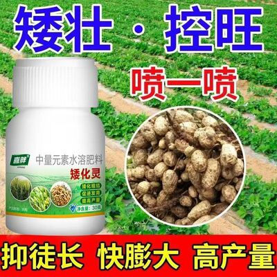 花生控旺药【1瓶2亩】花生压苗药控上促下膨大素猛增产防烂防徒长