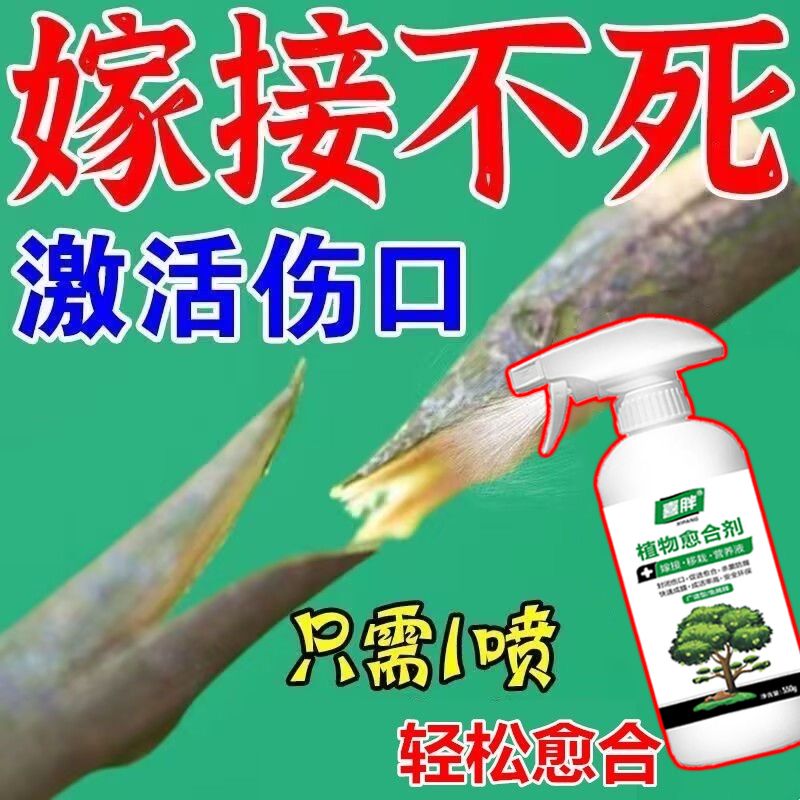 【接啥活啥】果树嫁接植物盆景花卉伤口防护愈合剂树木嫁接愈合剂