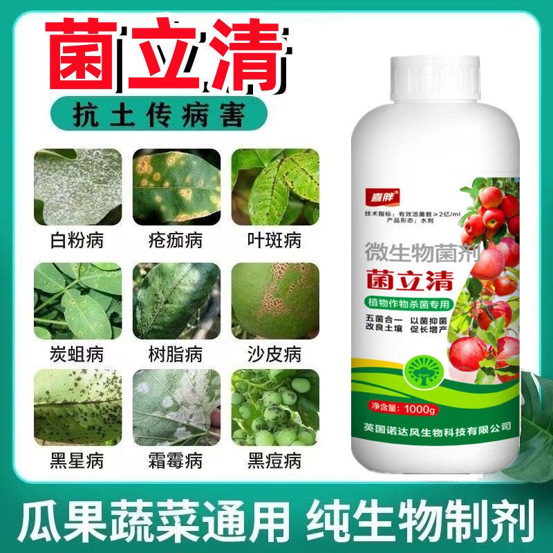 菌立清真菌细菌病害锈病黄叶白粉病炭疽病根腐蔬菜大田通用菌剂