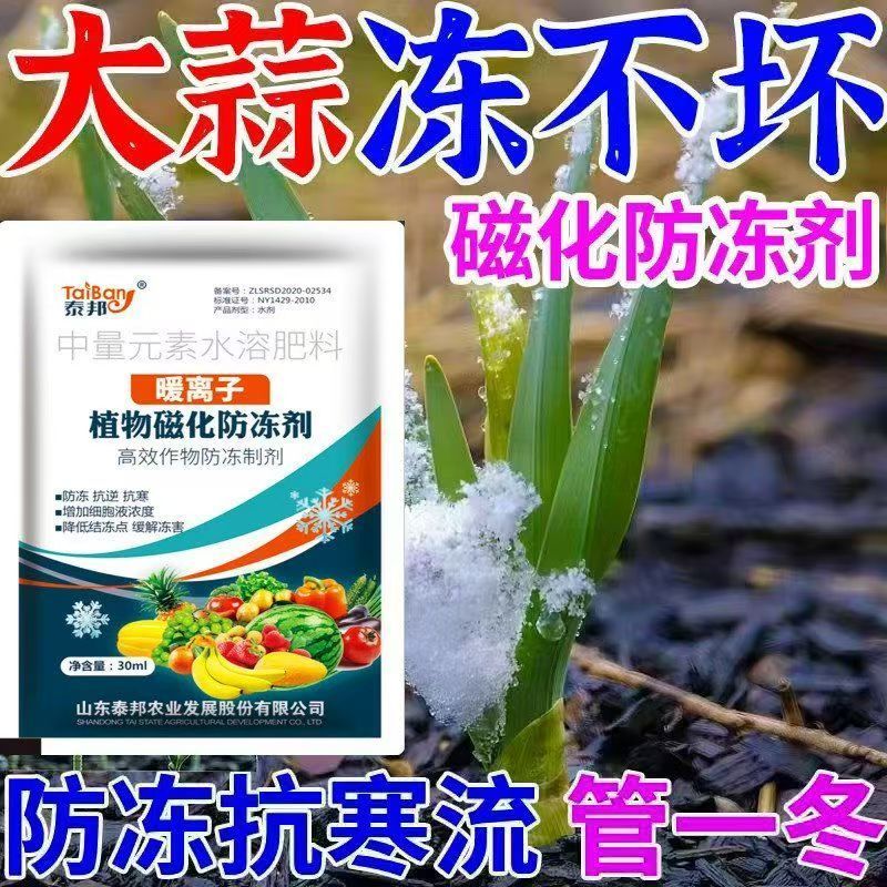 大蒜超强防冻剂大蒜专用防冻药护苗暖苗防磁化抗虫抗病防冻剂正品
