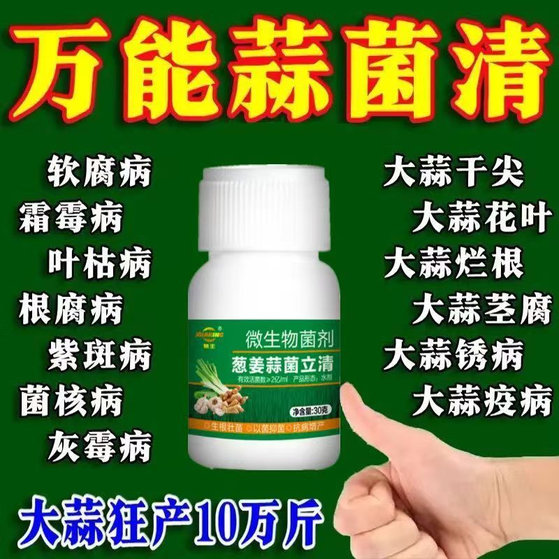 蒜菌清原液大蒜种植专用微生物生根养根粗壮补充营养肥料水溶农用