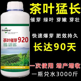 茶叶催芽剂茶叶催芽920叶面肥芽多芽嫩芽壮厚茶叶抗病增产催芽素