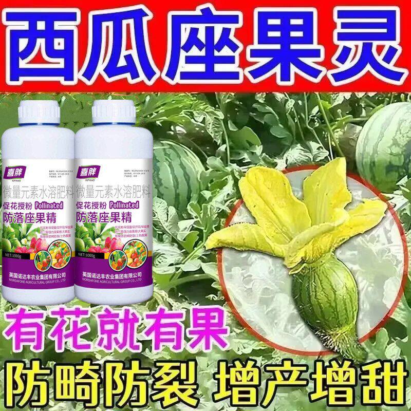 西瓜授粉专用药点花药免沾花授粉坐果精保花保果素防落防畸叶面肥