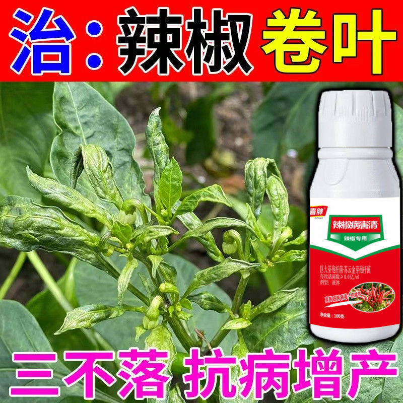 辣椒病毒病辣椒病全治植物蔬菜进口辣椒疫病清辣椒疫病