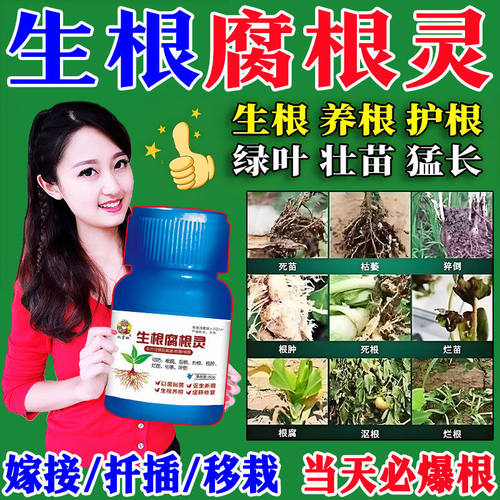 一喷爆根【生根腐根灵】猝倒烂根根肿根腐立枯死苗枯萎根腐抑制剂