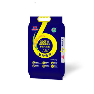 农家自产大米鲜米仙源六钻基地香米6钻5kg5千克