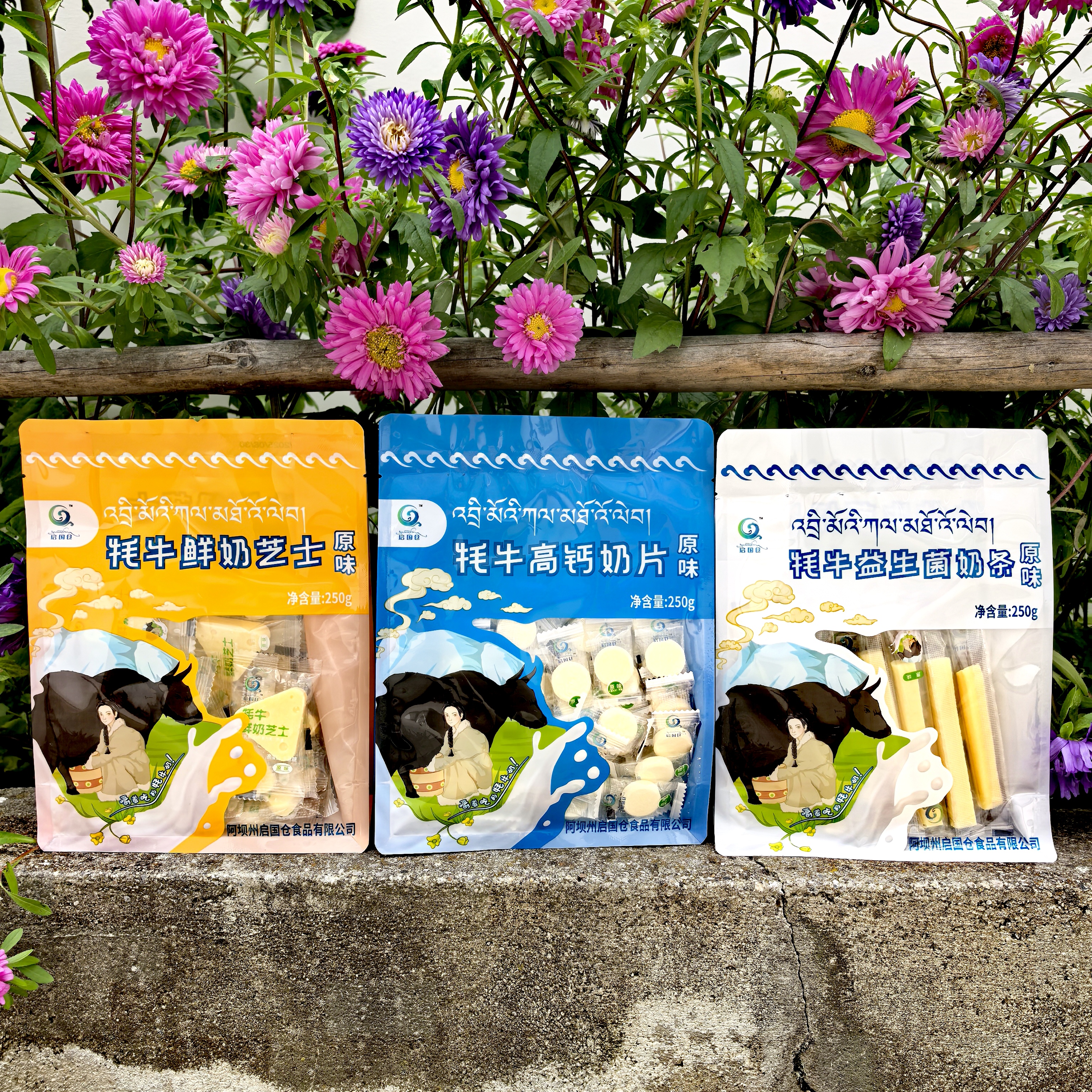 四川阿坝九寨沟松潘高原特产启国仓牦牛鲜奶芝士奶酪奶片零食250g