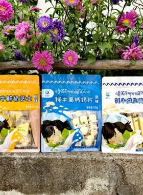 四川阿坝九寨沟松潘高原特产奶酪