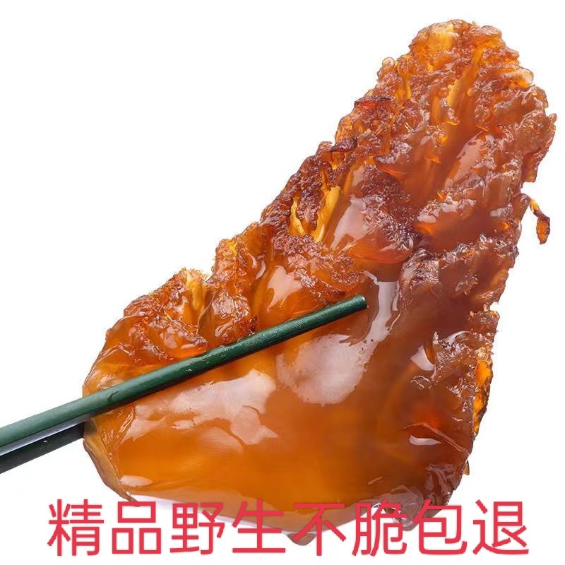 大连特级野生海蜇头超大个头红蜇头凉拌菜鲜脆爽口桶装精品免费包