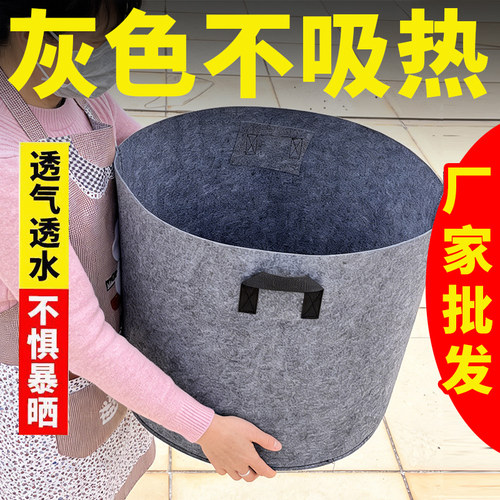 花盆塑料加仑口径青山透气月季