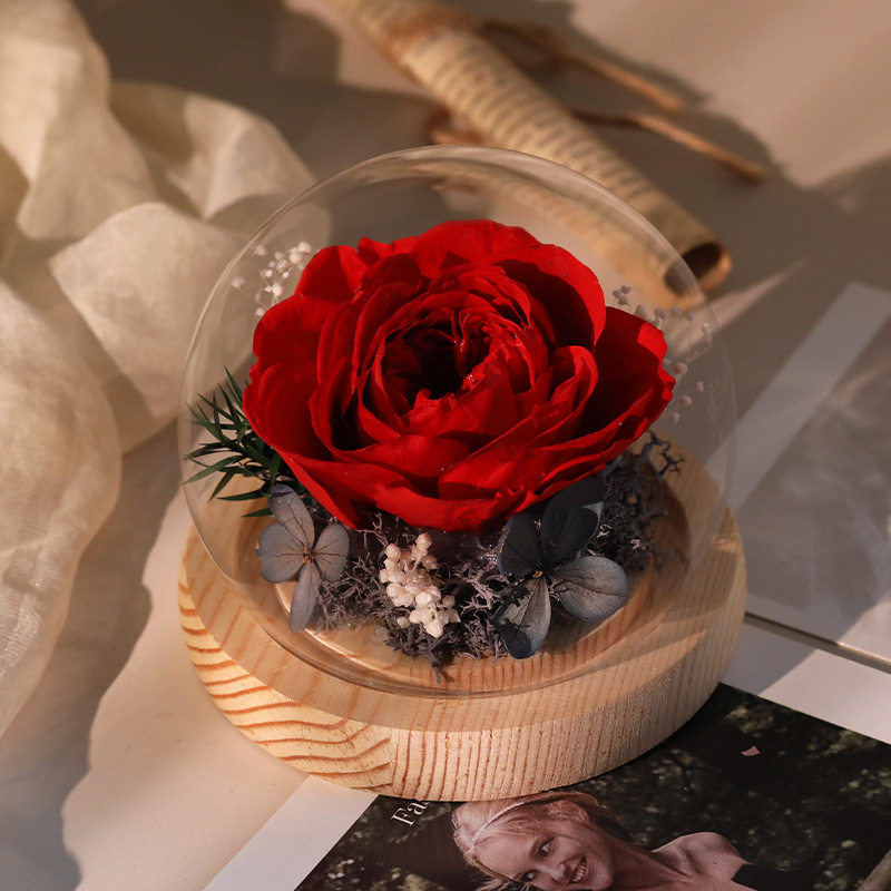 永生花玻璃罩七夕情人节送女友干花摆件女生闺蜜结婚生日礼物惊喜