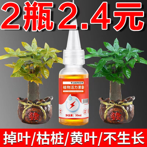 强力快速生根液粉剂扦插营养液植物通用型水培花卉绿植促生根生长
