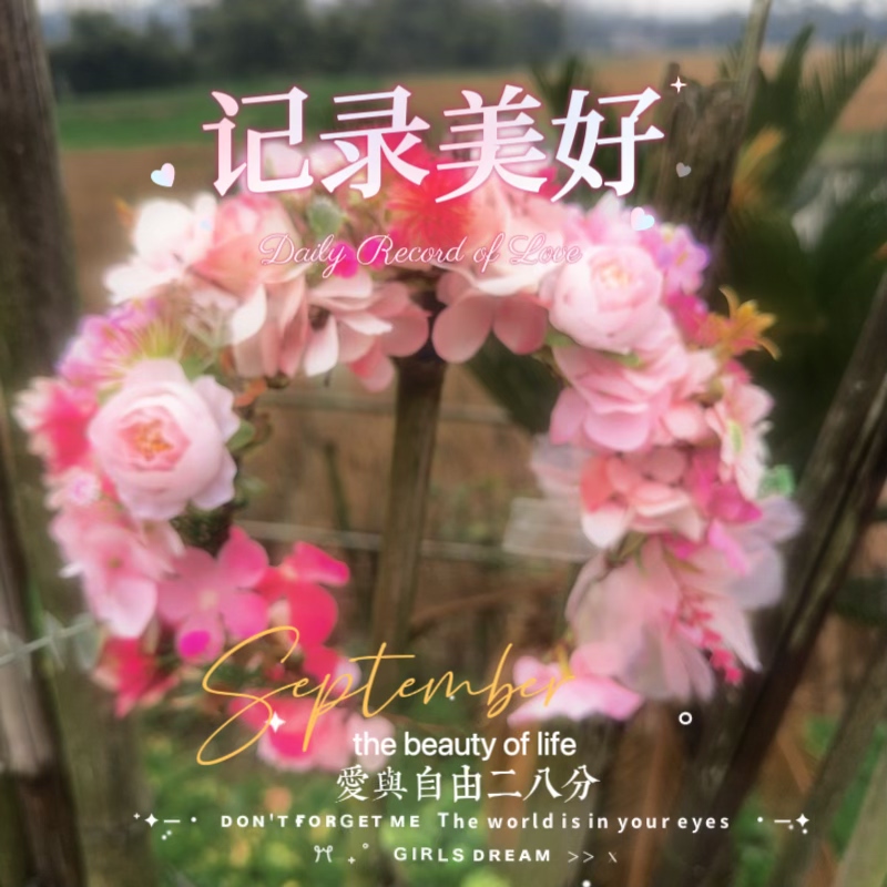 森系粉色布艺玫瑰绣球花环头饰