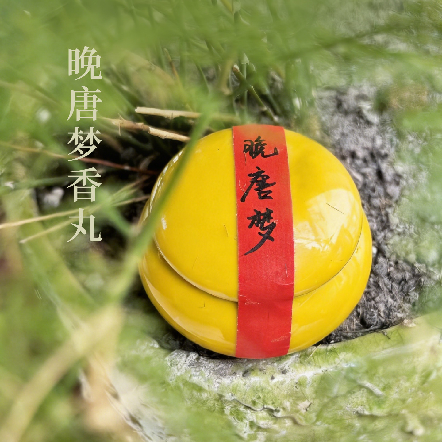 梦回唐朝置身于花的海洋