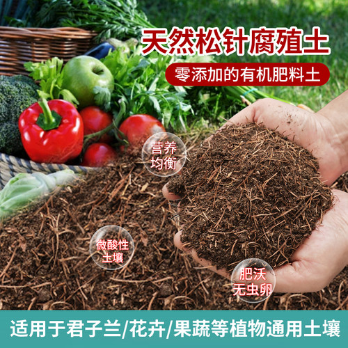 松针土种植通用营养兰花