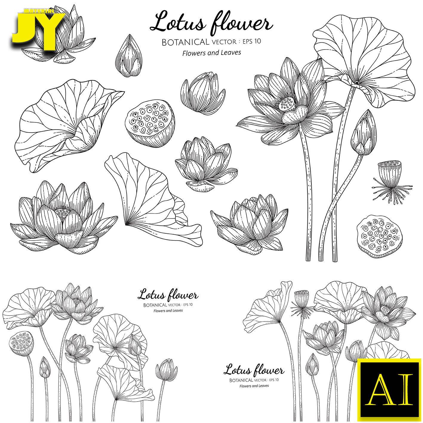 典雅素雅线描荷花图花苞莲子莲蓬荷花线稿ai矢量图素材