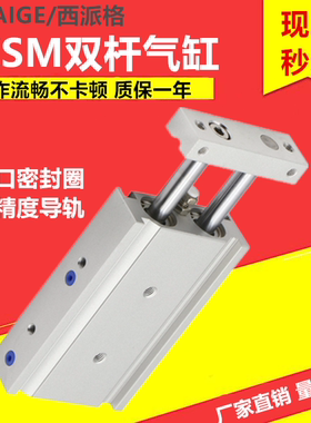 CXSM25-10/20/30/40/45/50/75/100/125/150/200 TR 通用 双杆气缸
