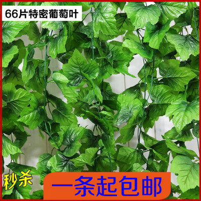 藤 花藤假花仿真葡萄叶树藤叶子绿植物壁挂天花板装饰特大号藤条