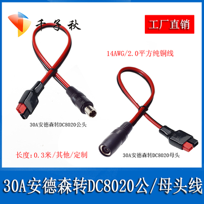 DC8020公母转30A安德森线