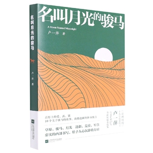 名叫月光的骏马 《亚洲周刊》十大小说奖得主卢一萍 10个