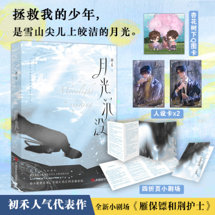 月光沉没 初禾浪漫悬疑代表作 拯救我的少年是雪山尖儿上皎洁的月光