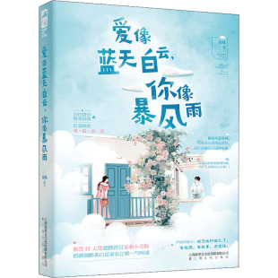 你像暴风雨海殊9787553517506上海文化出版 言情 社小说 都市 轻小说 青春 爱像蓝天白云
